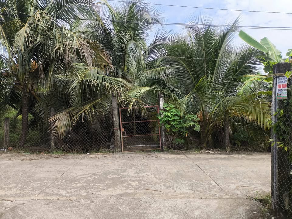 Đất vườn 1120m² Phước Thạnh TP. Mỹ Tho giá 3.6 tỷ - Đầu tư sinh lời tốt!