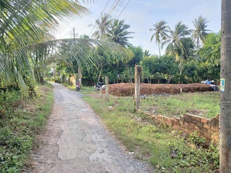 Đất nền Phước Thới, Ô Môn 216m² giá 750 triệu - Cơ hội đầu tư tuyệt vời!