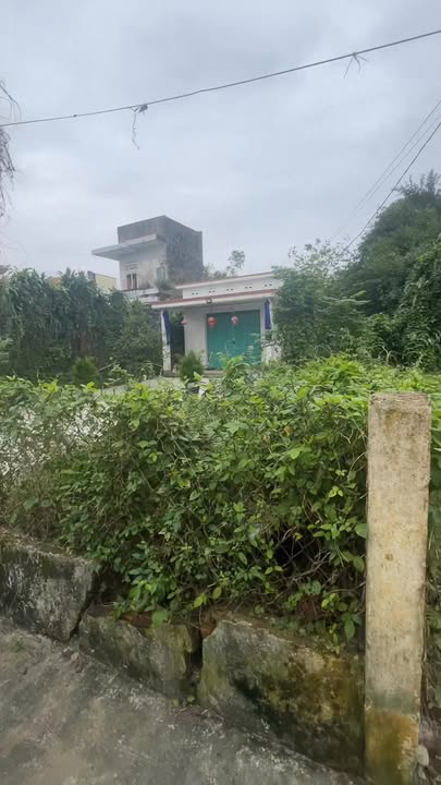 Đất kiệt ô tô Tam Kỳ 185m² giá 1.2 tỷ - Vị trí đắc địa chỉ cần đầu tư!