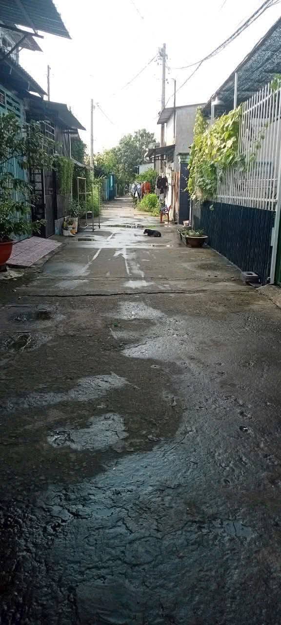 Đất nền Bình Mỹ Củ Chi 6.40x24m giá 3.2 tỷ - Sổ đỏ chính chủ, xây dựng tự do!