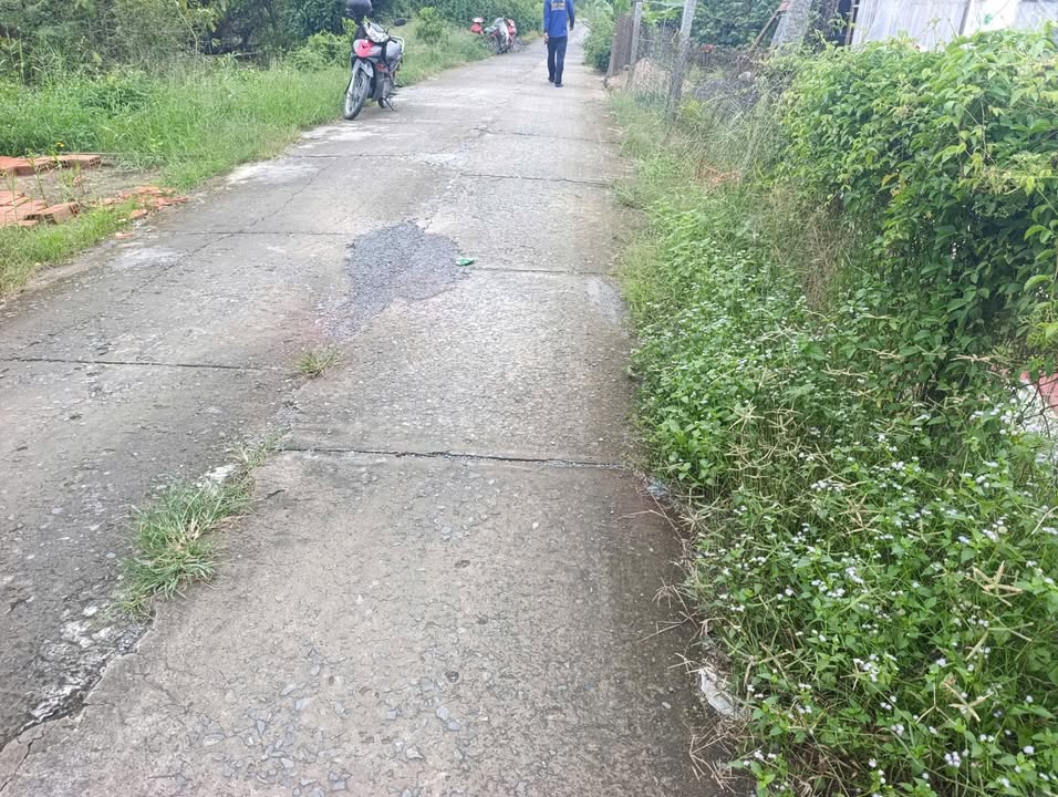 Đất thổ cư 1000m² tại xã Thanh Mỹ, Đồng Tháp - Giá chỉ 800 triệu, thương lượng!