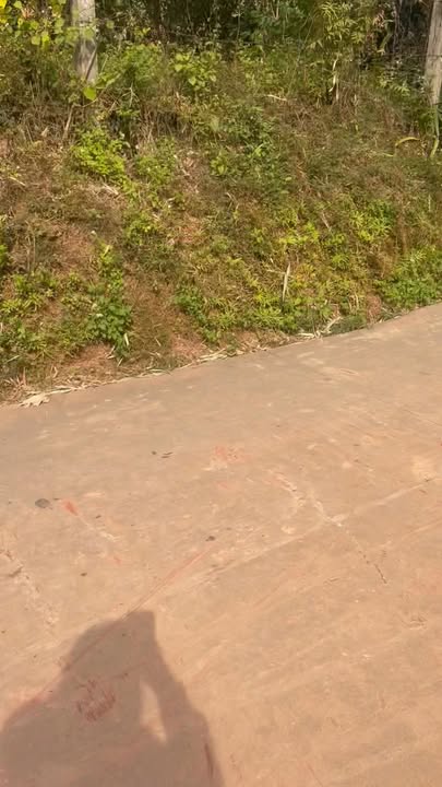 Đất vườn Hương Sơn Lạng Giang 725m² - Đầu tư tiềm năng, giá thỏa thuận!