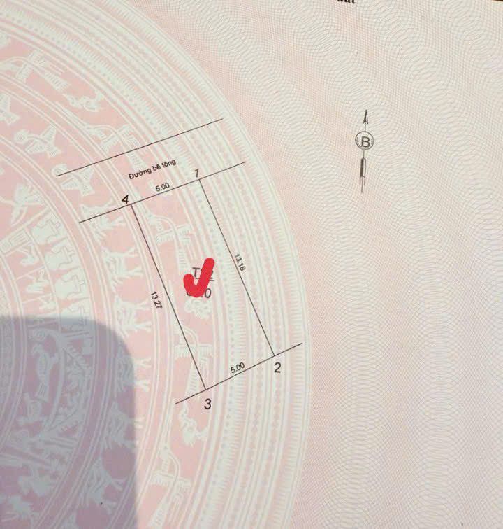 Đất đấu giá Lệ Chi 70m² giá 3 tỷ - Cơ hội đầu tư sinh lời!