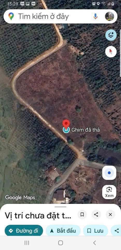 Đất sào phủ hồng 1000m² Ea M’Droh, Cư M'Gar - Chỉ 259 triệu, đầu tư sinh lời!