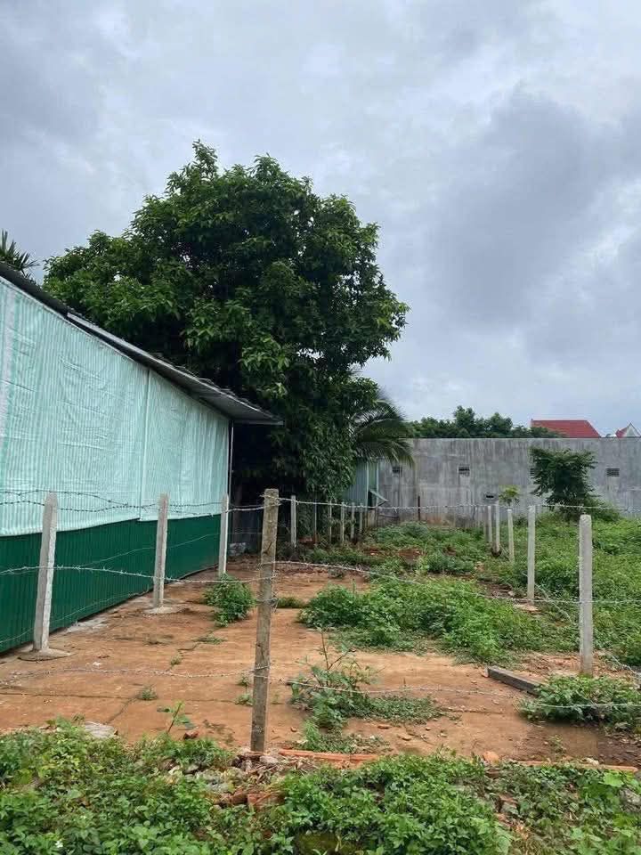 Bán FrontHouse Lê Đại Hành, Quảng Phú 145m² giá 2.1 tỷ - Kinh doanh thuận lợi