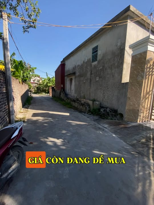 Đất thổ cư Hỗ Đông, An Dương, Hải Phòng 51.5m² - Sổ đỏ chính chủ, giá thương lượng!