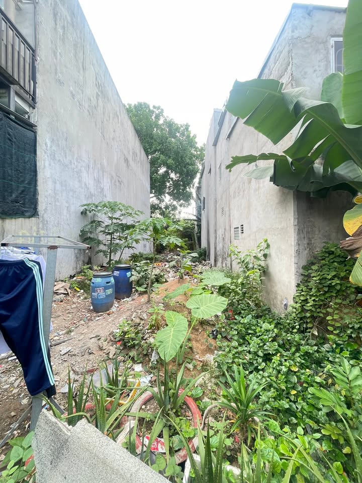 Đất nền Tân Đông Hiệp, Dĩ An 151m² giá 2.5 tỷ - Đầu tư sinh lời ngay!