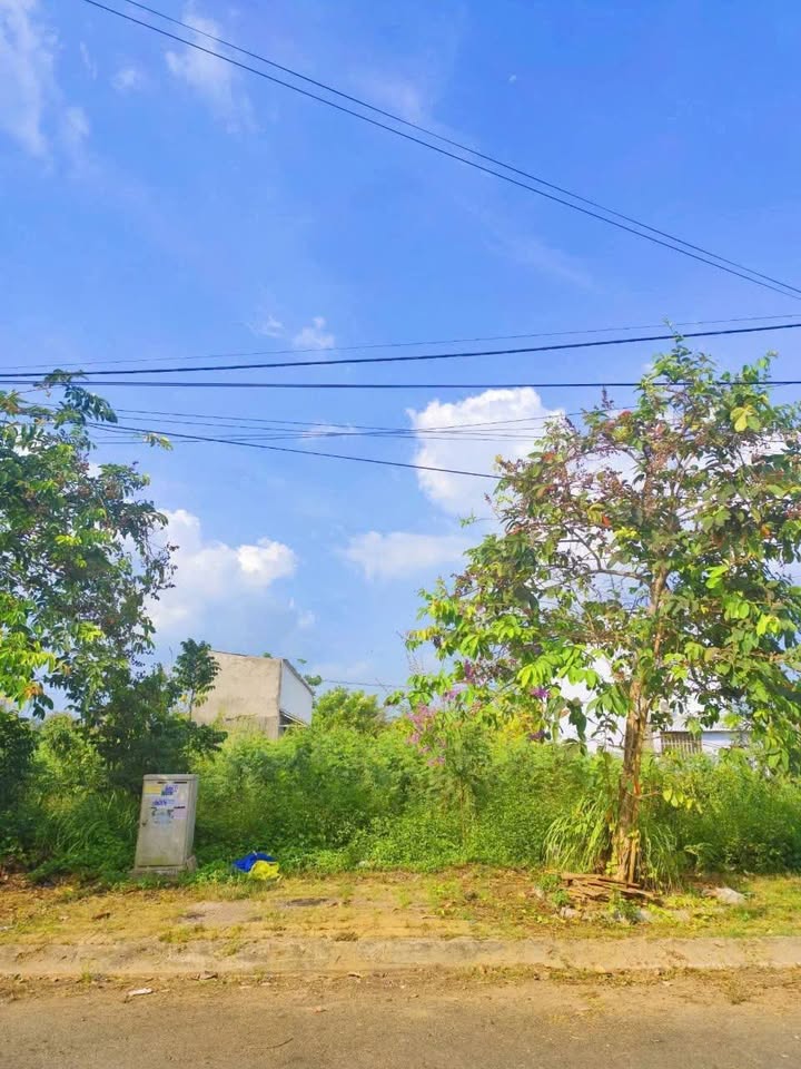 Đất nền 100m² đường B2 KDC Tân Phú Cái Răng giá 1.9 tỷ - Đầu tư sinh lời hấp dẫn!