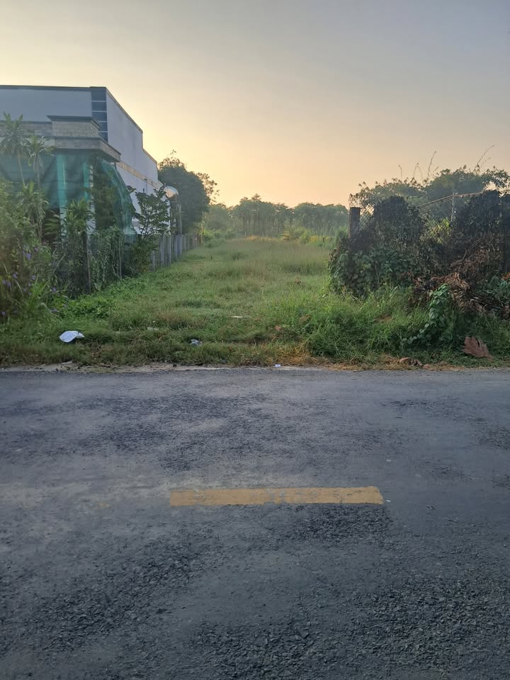 Đất mặt tiền nhựa HL05, Vạn Thành, Gò Công Đông 498m² giá 2.6 tỷ - Cơ hội đầu tư hấp dẫn!