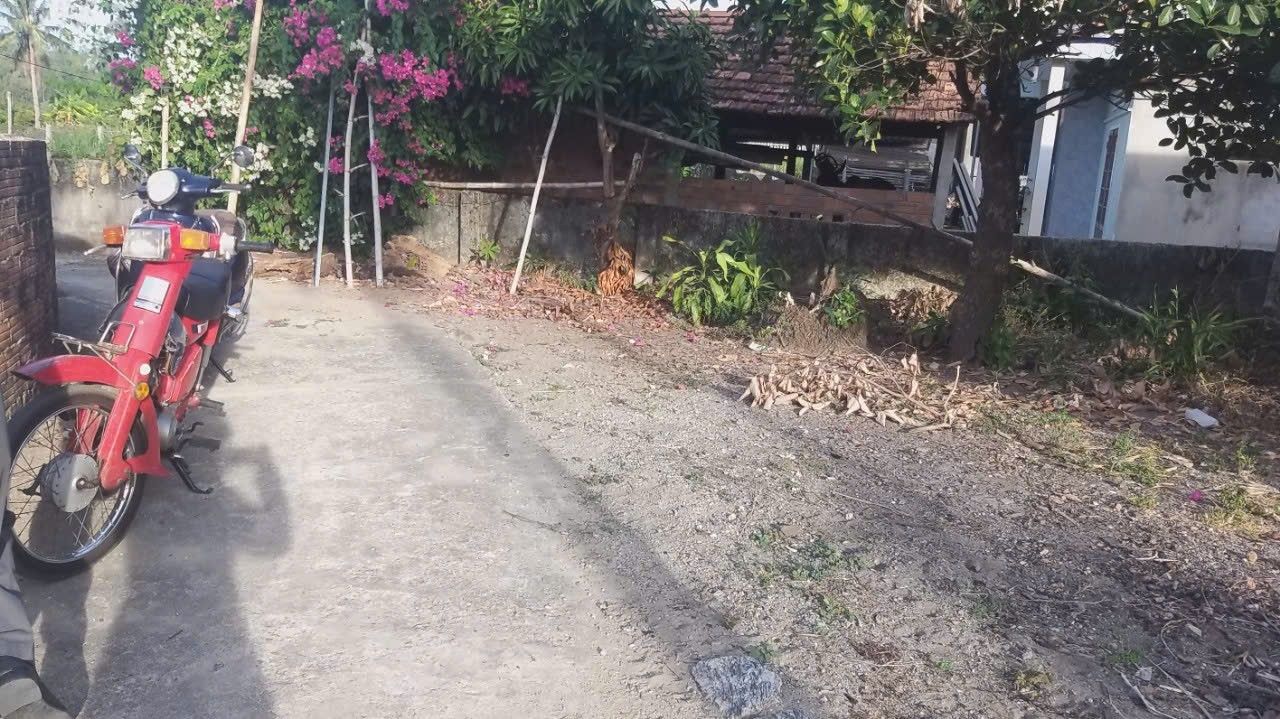 Đất nền liền kề tại xã Bình Thuận, Bình Sơn - Quảng Ngãi 114m² chỉ 300 triệu - Cơ hội đầu tư sinh lời!