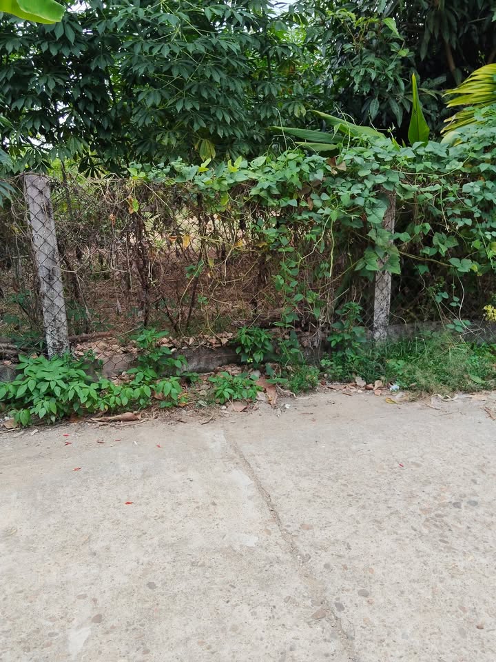 Đất nền Tịnh Bắc 150m² giá 600 triệu - Cơ hội đầu tư tuyệt vời!