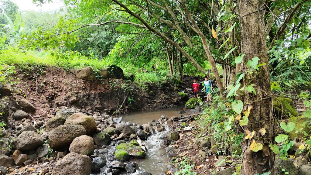 Đất nền Hòa Phú Buôn Ma Thuột 1440m² giá 2.95 tỷ - Cơ hội đầu tư sinh lời cao!