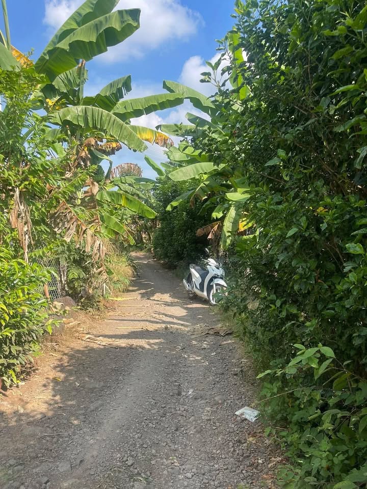 Đất 2 mặt tiền xã Gia Kiệm, 4399m² giá 16.636 tỷ - Đầu tư sinh lời ngay!