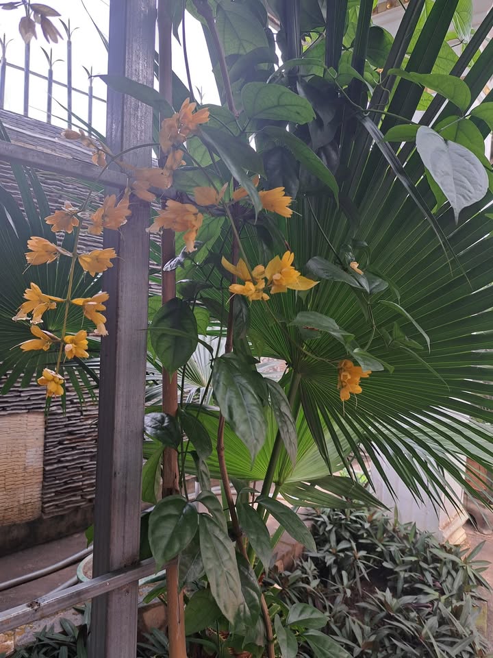 Đất nền 5500m² tại Đường số 13, Tam Phước - Đầu tư sinh lời ngay!