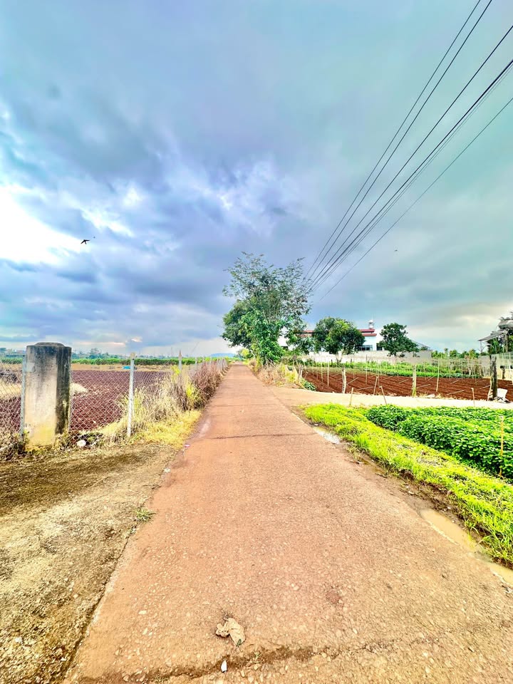 Mảnh đất 382m² tại Hiệp Thạnh, Lâm Đồng - Giá chỉ 1.5 tỷ, đầu tư sinh lời!