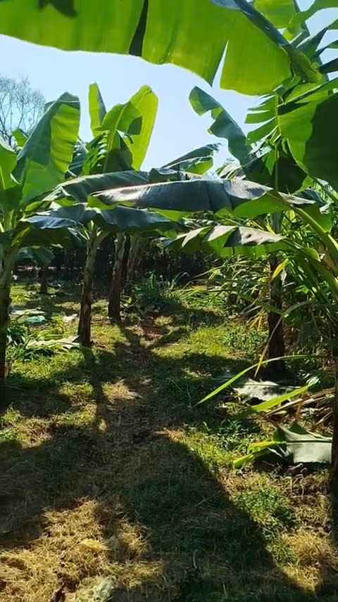 Đất thổ cư Lộc Thành Bảo Lâm 400m² giá 5 tỷ - Đầu tư sinh lời tuyệt vời!