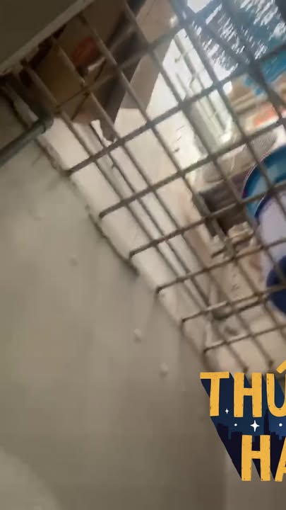 Nhà phố Nguyễn Thái Học, Quy Nhơn 29.76m² giá 2 tỷ - Sổ đỏ chính chủ!