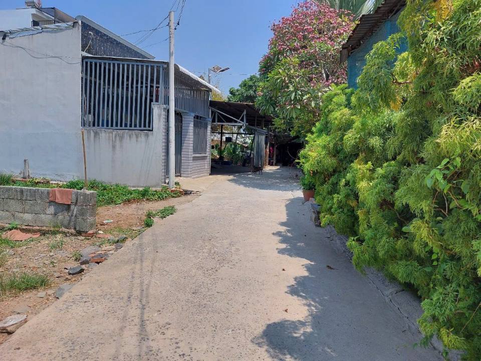 Đất nền 183m² tại Tân Thạnh Đông, Củ Chi - Giá chỉ 2.65 tỷ, sổ đỏ chính chủ!