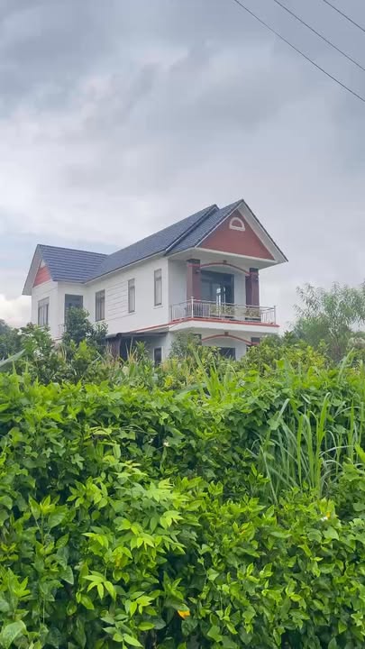 Đất nền Long Phước, Long Thành 136m² giá chỉ 1.35 tỷ - Cơ hội đầu tư vàng!