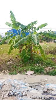 Đất mặt đường 392, xã Tân Hồng, 99m² - Cơ hội đầu tư hấp dẫn!