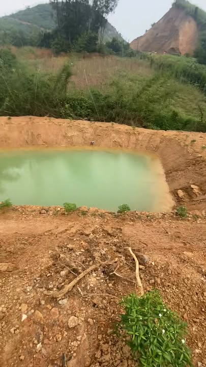 Đất nền 1700m² tại Đào Xá, Thanh Thủy, Phú Thọ chỉ 1 tỷ - Tiềm năng đầu tư lớn!