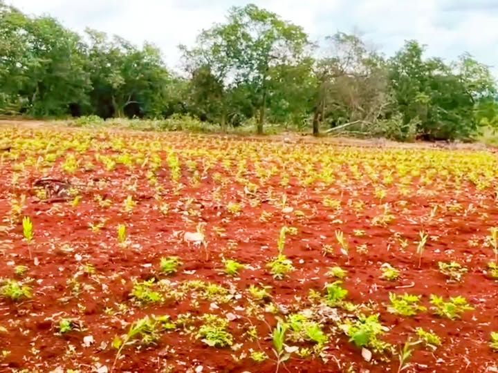 Đất nền Xuân Tâm 3600m² giá 350 triệu - Sổ đỏ chính chủ, đầu tư sinh lời!