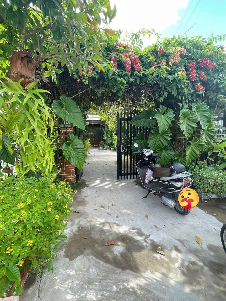 Nhà mặt tiền Hùng Vương, Trà Vinh 212.5m² giá 3.999 tỷ - Đầu tư sinh lời tuyệt vời!