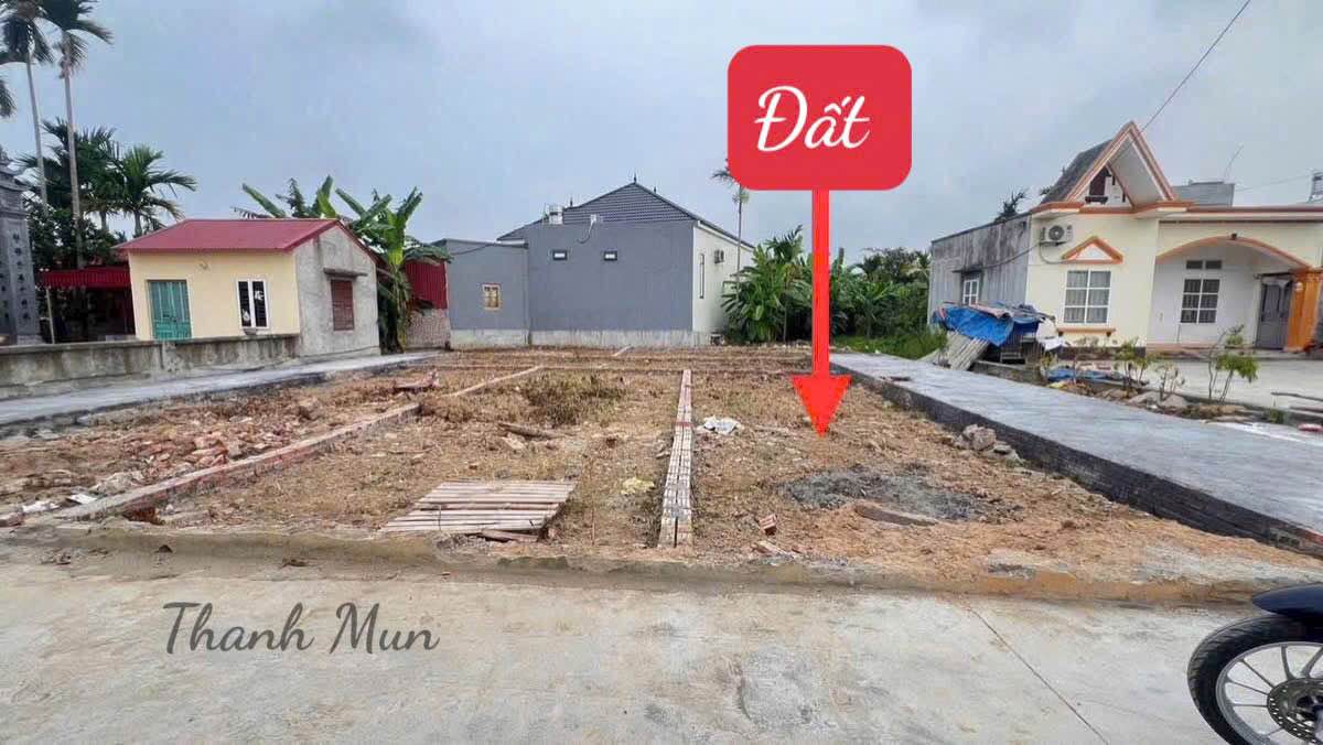 Đất nền 50m² Hồng Thái, An Dương - Giá chỉ 890 triệu, Ô tô đỗ tận nơi!