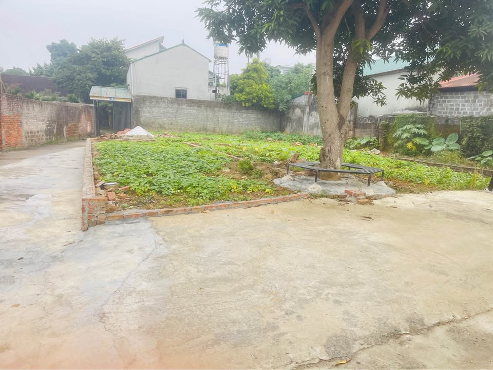 Đất nền Xuân Mai, Chương Mỹ 50m² giá 2 tỷ - Cơ hội đầu tư hấp dẫn!