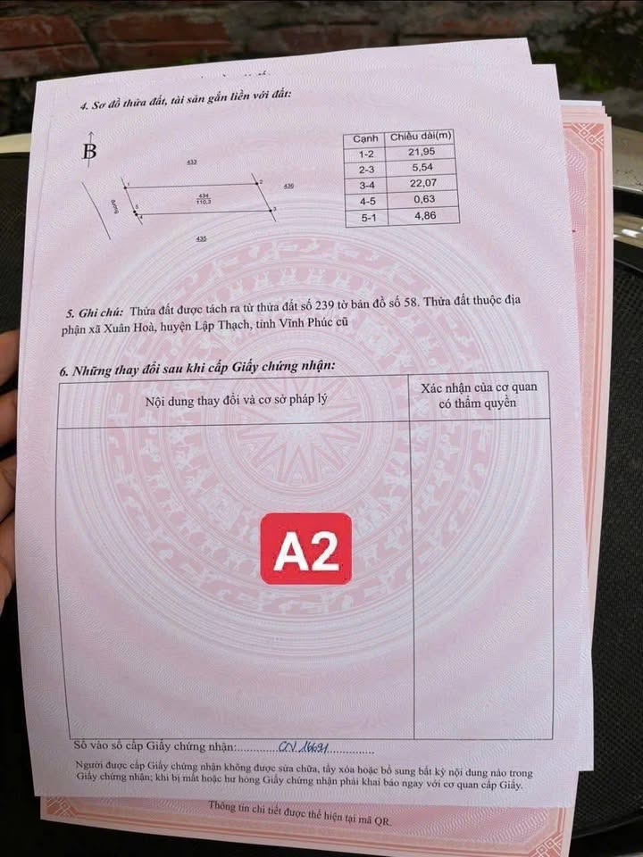 Đất nền Xuân Hòa, Lập Thạch, Vĩnh Phúc 115m² giá 700 triệu - Đầu tư sinh lời ngay!