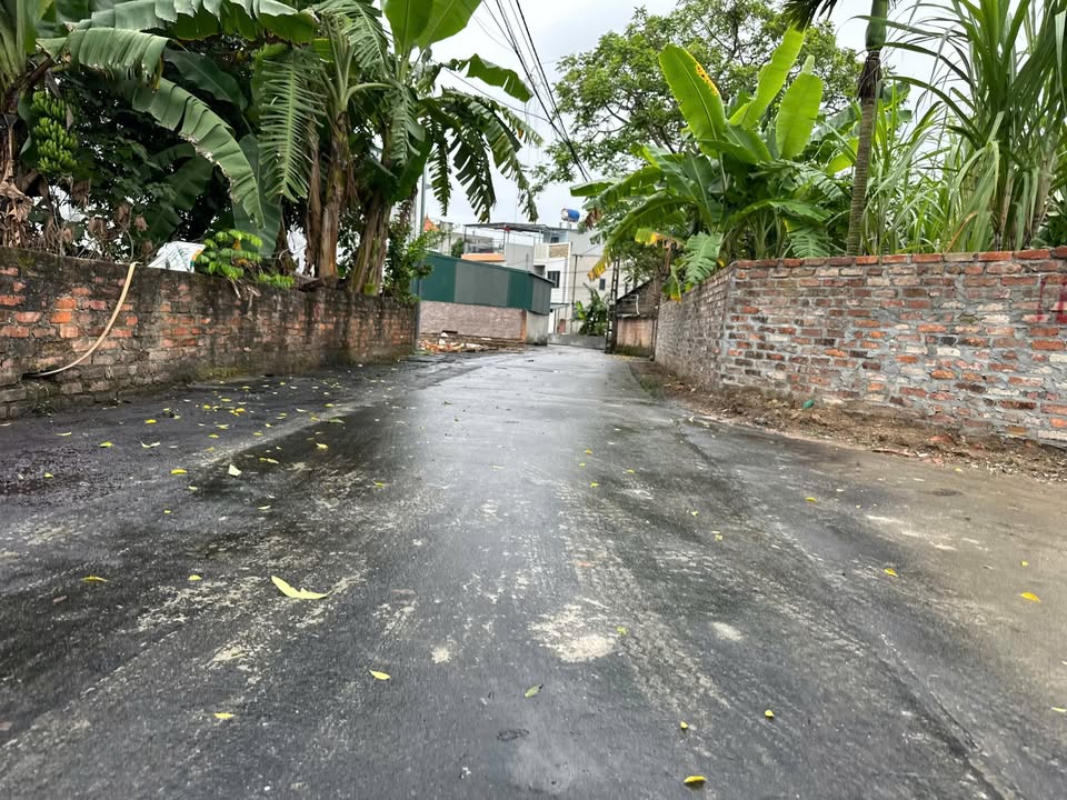 Đất nền Định Trung Vĩnh Yên 88.8m² giá 1 tỷ - Sổ hồng chính chủ, vị trí đẹp!