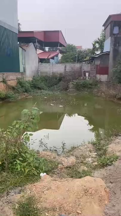 Đất phân lô chính chủ xã Tử Du 205m² giá thỏa thuận - Đầu tư sinh lời ngay!