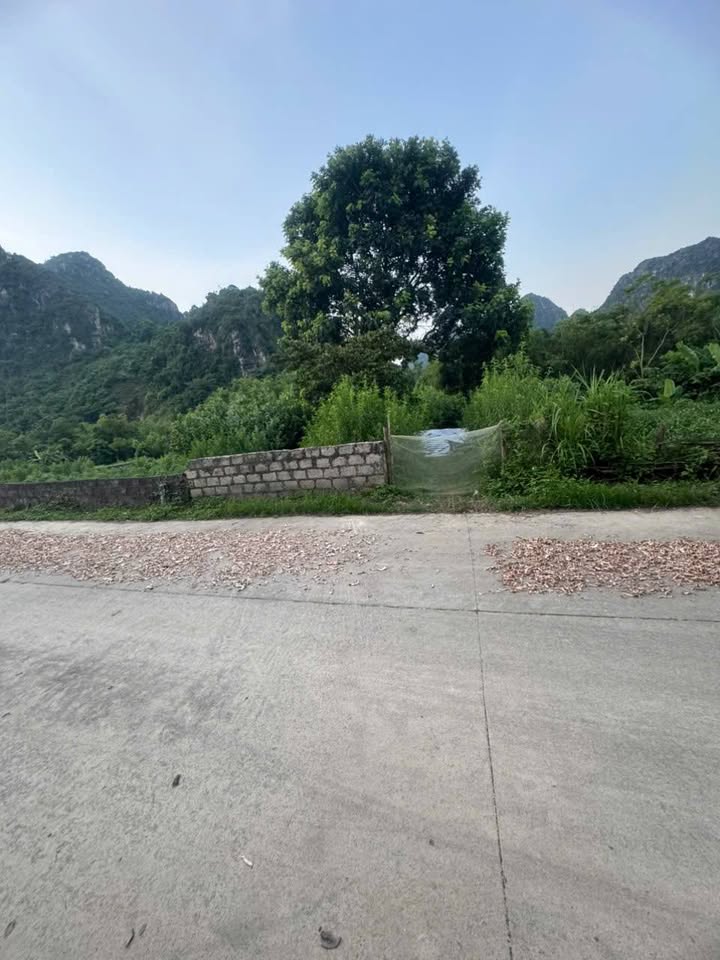 Đất thổ cư Gia Lâm 161m² giá 600 triệu - Đường ô tô tránh nhau 7m