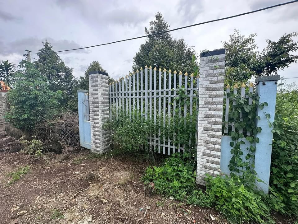 Đất trồng cây lâu năm 3 xào tại Tân Phú, Đồng Nai - Giá chỉ 1.5 tỷ