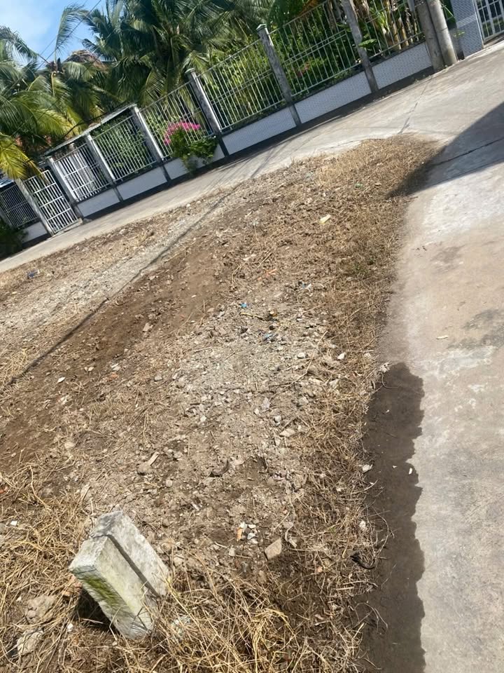 Đất nền hẻm 154 Huỳnh Hữu Thống, Tân An 121.5m² giá chỉ 1.58 tỷ - Đầu tư sinh lời!