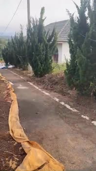 Đất thổ cư Lộc An 100m² giá 350 triệu - Cơ hội đầu tư tuyệt vời!