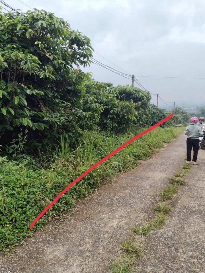 Đất Hòa Nam, Di Linh 2310m² giá 1.4 tỷ - Cơ hội vàng cho đầu tư!