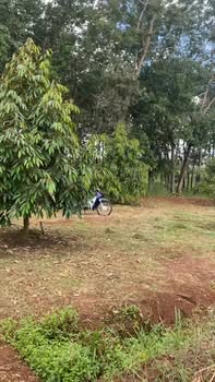 Đất Farm 10,000m² tại Phước Tân, Phú Riềng giá chỉ 3,2 tỷ - Đầu tư sinh lời ngay!