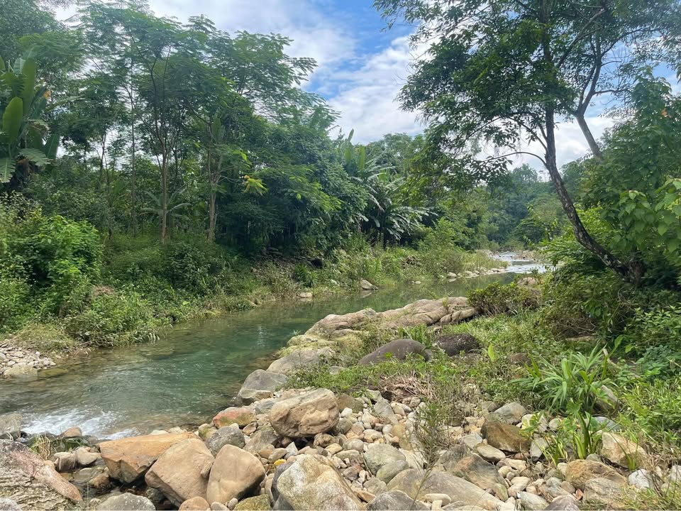 Đất nghỉ dưỡng Thác Ngao, Đại Từ 3300m² giá 2 tỷ - Cơ hội đầu tư hấp dẫn!