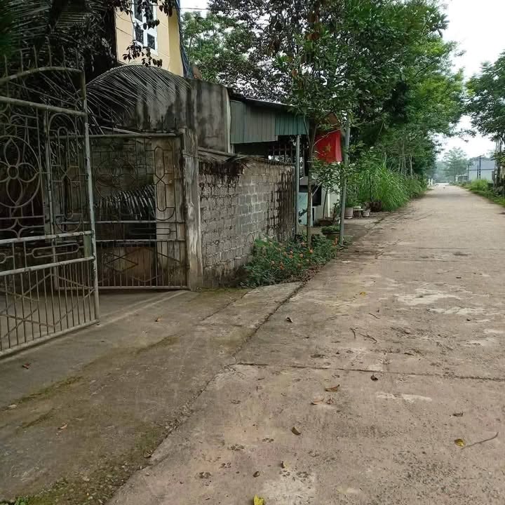 Đất nền tại Tỉnh lộ 516, xã Thuận Minh, huyện Thọ Xuân, 736m² giá 2.02 tỷ - Vị trí đắc địa hai mặt đường!