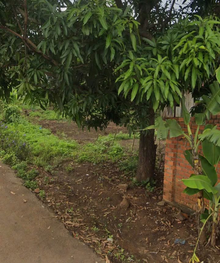 Đất thổ cư Hòa Phú 150m² giá 699 triệu - Cơ hội đầu tư vàng!