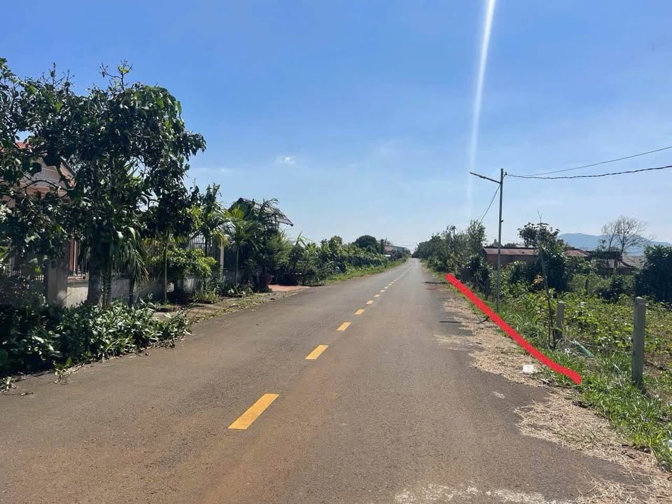 Đất nền mặt tiền Nguyễn Trãi, Bảo Lộc 1000m² giá 6 tỷ - Cơ hội đầu tư sinh lời!