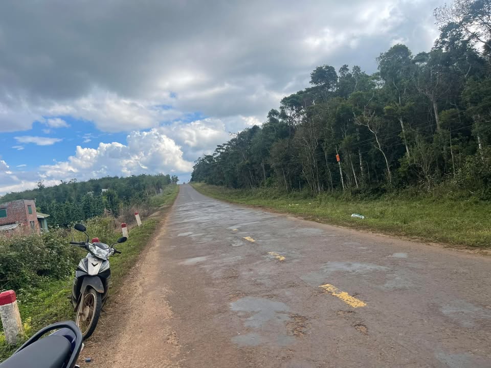 Đất nền mặt tiền Quốc lộ 14C, Tuy Đức, 300m² - Giá chỉ 300 triệu!