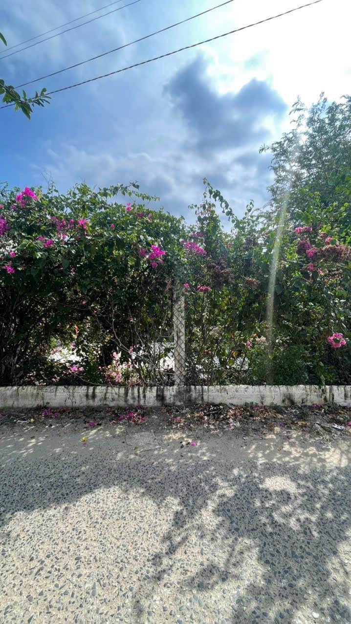 Đất thổ cư KP2 P. Văn Hải 428m² giá 3.19 tỷ - Cơ hội đầu tư tuyệt vời!