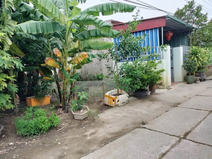 Đất thổ cư Quảng Đông, Thanh Hóa 100m² giá 1.2 tỷ - Sổ đỏ chính chủ!