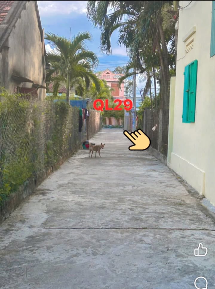 Đất nền 190m² tại Uất Lâm, Hòa Hiệp Bắc - Gần chợ, Sân bay chỉ 1km!