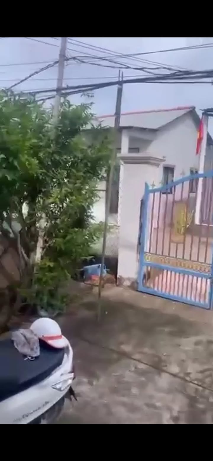 Đất Cả Nhỏ, Định Trung, Bình Đại 2672m² chỉ 1.5 tỷ - Cơ hội đầu tư tuyệt vời!