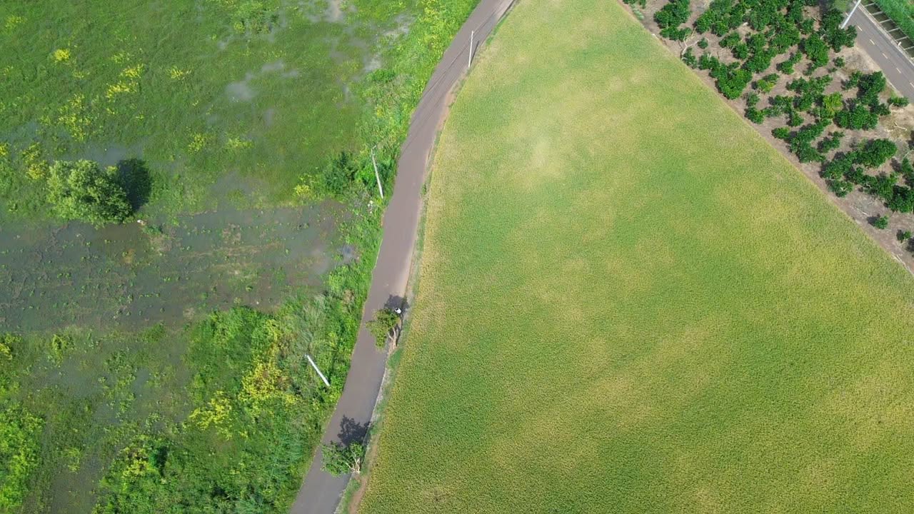 Đất nền Long Tân, Đất Đỏ 1000m² giá 1.4 tỷ - Đầu tư sinh lời ngay!