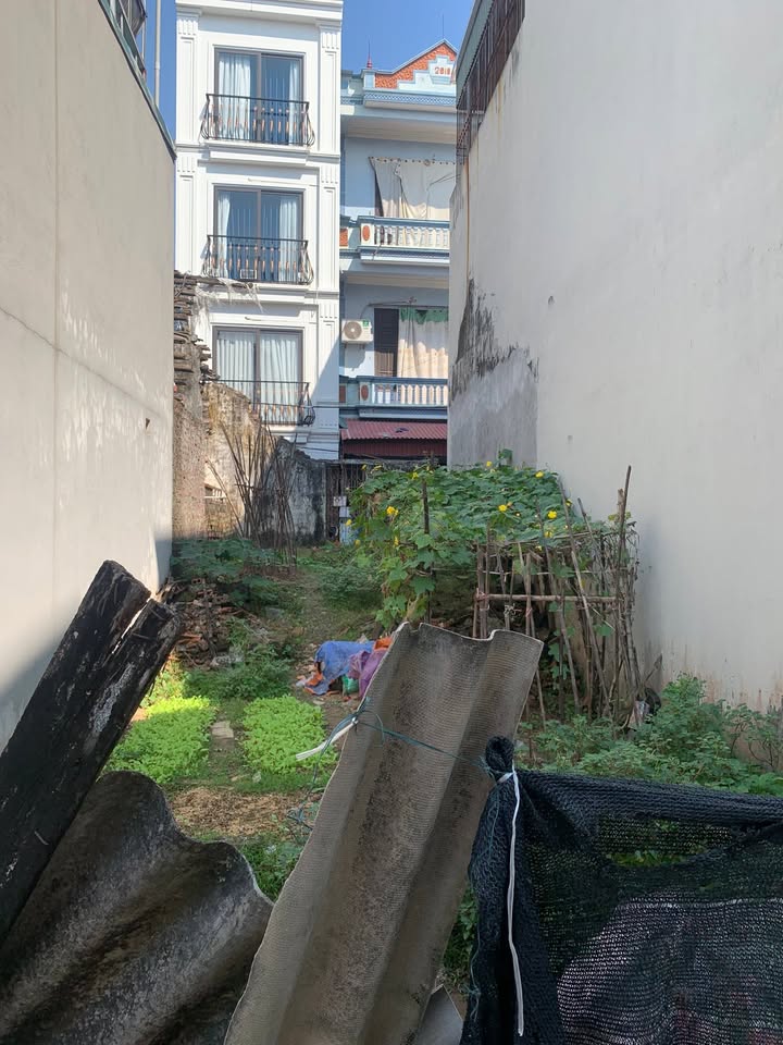 Đất nền Thượng Phúc, Tả Thanh Oai 59m² giá 5 tỷ - Cơ hội đầu tư sinh lời!