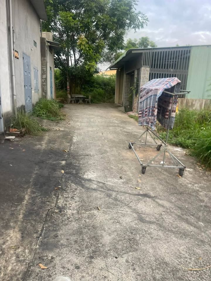 Đất nền Long Bình Biên Hòa 125m² giá 450 triệu - Cơ hội đầu tư tuyệt vời!